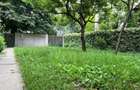 Apartament in vila cu 6 camere si curte proprie de 202 mp - 4