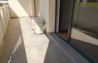 Vand apartament 2 camere finisat, gata de mobilat dupa preferinte - 4