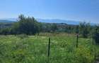 Vand teren daia noua urgent 960 m2 - 8