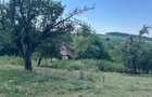 Proprietar vand teren intravilan 2774 mp - 1