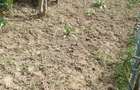 Casa de vacanta cu etaj la raul Nera DN 57 cu teren 4500 mp2 Naidas Nr.693 (CS)