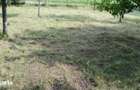 Teren 1200mp Rediu platou Beldiman - 3