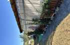 Vand Teren in sat Nima - 3