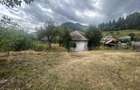 Teren intravilan de vanzare, 5000 m - 6