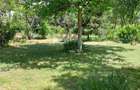 Casa 3 camere Parter Giurgiu Com Bucsani - 9