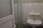 Apartament 2 camere str. Victoriei , Curtea de Arges - 12