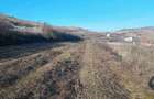 Teren de vanzare - 1700m2 Sard - 8