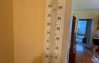 Apartament 2 camere, cu imbunatatiri, parter, mobilat - 17