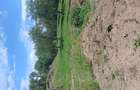 Teren intravilan de vanzare, 6719mp, rural - 5