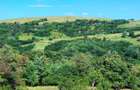 Vand teren.Panorama de vis.