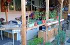 Casă cu Teren 120 Mp în Colentina - 1