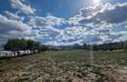 Teren 1,93 ha in Breb, Maramures zona pitoreasca, Taul Sarat - 6