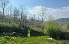 Casă cu 3 camere cu Teren 800 Mp în Telega - 17