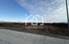 Teren intravilan industrial 5.755 mp | Bon?ida - 7