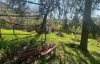 Casă cu 3 camere în Mislea - 5