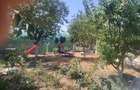 Casa de vanzare Giarmata Mare teren 1.300 mp, pozi?ie excelenta pe col?, cu doua intrari auto - 2