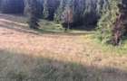 Vand teren intravilan Zona Ghe?ar (Garda de Sus) - 2