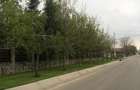 Teren intravilan 1.000 mp Fundulea, Calarasi | 20 m deschidere la asfalt - 6