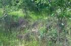 4 terenuri de vanzare in Lucieni, Dambovita, la 90 de kilometri de Bucuresti - 3