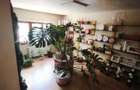 Spatiu Comercial / Apartament cu 4 camere PARTER, 83 mp, 4 intrari - Salonta - 3