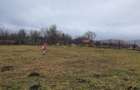 Teren deosebit 11.000 MP + LIVADA DE NUCI | Parscov Magura, BUZAU | Ideal pensiune / glamping - 1