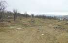 Teren intravilan , Bucium Barnova - 2
