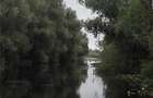 Teren in Delta Dunarii Chilia Veche - 7