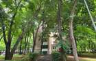 Apartament 2 camere decomandat | 49 mp | Obregia | 66.000 € - 20