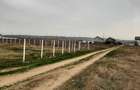 Vand URGENT Teren Intravilan Craiova - 4
