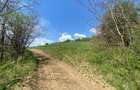 Teren 14,61 ha de vanzare Halmeag, Brasov