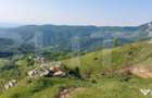Teren extravilan pentru cabana, 3800 mp, zona-Ramet Transapu - 4
