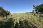 Vanzare teren 2936 mp, zona strada Dealu Fanatelor - 6