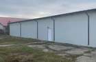 Vand hala 2300 mp Costesti, cu teren de 5050 mp, curti constructii, intravilan, cu utilitati