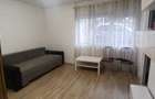 Apartament 1 camera, malul Muresului, demisol - 1