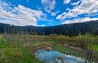 Oportunitate Unica de Investi?ie Domeniu de 2,1 Ha in Bucovina (Suceava) - 9