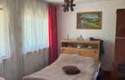Proprietar,vind casa cu teren,acte la zi,situata in sat Paltinisu comuna Cazane?ti,judet Mehedin?i - 4
