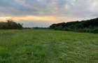 Teren de vanzare in Com. Vedea , sat Varsesti jud.Arges