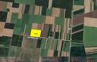 Daia (jud.Giurgiu) teren agricol 35 hectare compact
