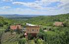 Casa noua Podgoria, 1035 mp teren - 4