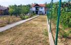 Vand Casa Bolbosi, Gorj - 4