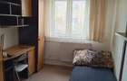 Proprietar 150 euro Iosefin - 7