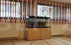 Apartament cu 3 camere decomandat în Sânpetru - 6