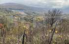 Teren extravilan suparfata 787 mp in zona Bradet - 5