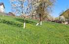 Vand teren intravilan - 2