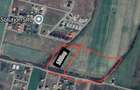 Teren agricol extravilan de 10000 mp, în Moșnița Nouă - 2