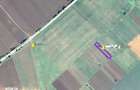Teren extravilan, Loc. Vinga, jud. Arad - 5