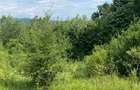 Teren de 10000 mp, în Căzănești (Milcoiu) - 4