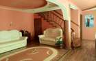 vand casa pensiune cu helesteu aproape de Timisoara-locatie excelenta! - 10