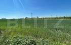 Teren intravilan 25.000 mp, front 300 mp , zona industriala Qfort - 1