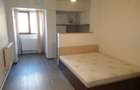 Garsonieră decomandată în Nicolina - 6
